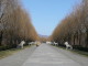 Autumn Travel to Beauty of Ming Dynasty Tombs in China