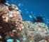 Holiday Deals Tips When Vacation to Beauty of Raja Ampat