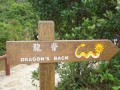 Best Exciting Adventure Places in Hongkong, The Dragons Back Hike