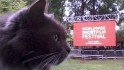 Cat Lovers Holiday Must Visit World Travel Destination Places