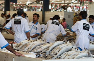 Dubai_Fish_Market_02