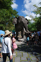 bali elephant safari