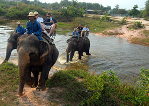 ride_Asian_elephants_during_a_Morale,_Welfare_and_Recreation_tour_at_the_Pattaya_Elephant_Vi