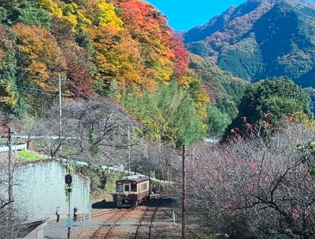 watarase keikoku railway