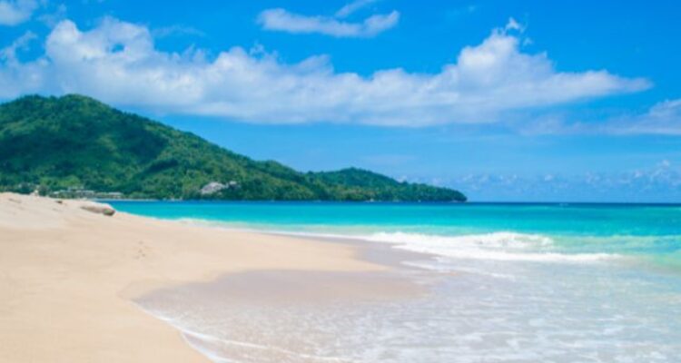 Masked Mayhem Near the Beach