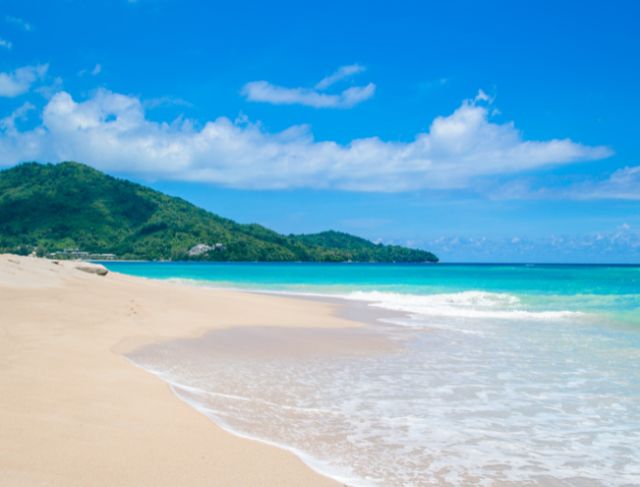 Masked Mayhem Near the Beach