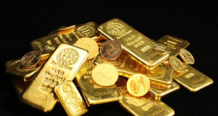 Treasure in the Woods? Yep, It Happened – And It’s Absolutely Wild