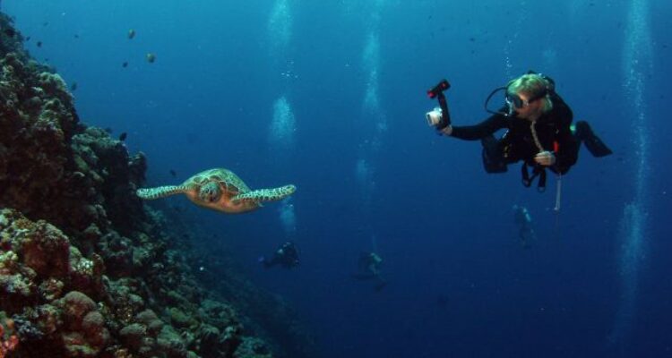 Dutch Tourist Dies While Diving at Komodo National Park