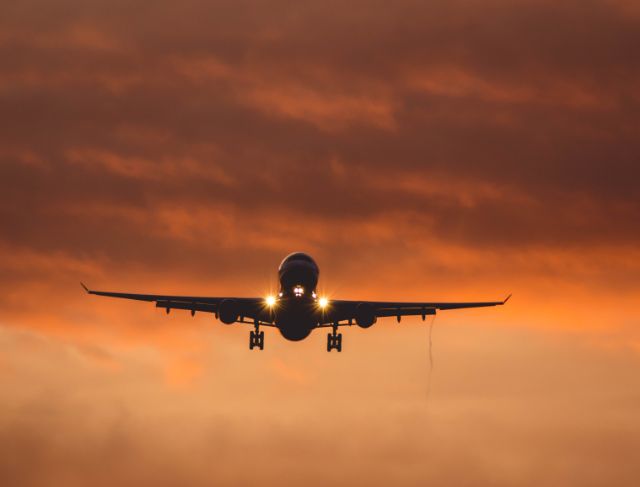 Nobody Panicked, but the Plane Turned Around Anyway