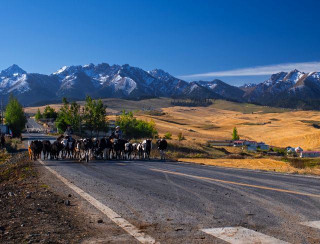 Stranded at the Edge of China Chaos, Cigarettes, and Checkpoints Stranded at the Edge of China: Chaos, Cigarettes, and Checkpoints