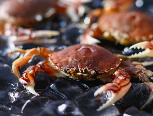 Crabs Traffic in Christmas Island