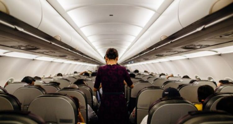 Funny, There's a Pet-Specific Airline