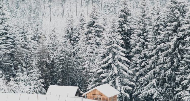 Germany on Alert for Extreme Weather, with Transportation Disrupted by Snow and Ice