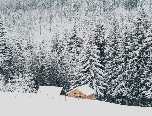 Germany on Alert for Extreme Weather, with Transportation Disrupted by Snow and Ice