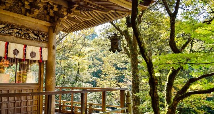 Foreign Tourist Visits to Japan Plunge for the First Time in Four Years