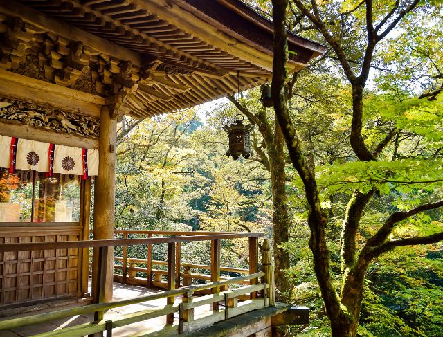 Foreign Tourist Visits to Japan Plunge for the First Time in Four Years