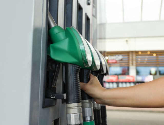 Sri Lanka Declares Wednesday a Public Holiday to Save Fuel