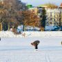 Finland Considers Charging Visitors