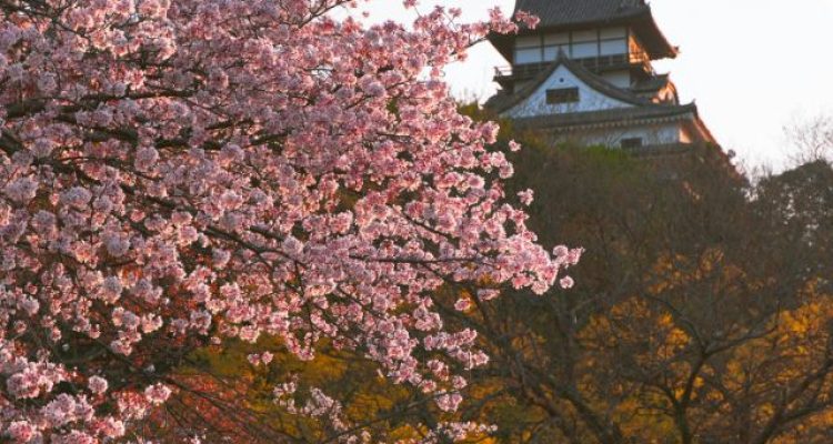 Japan Wants More Foreign Tourists to Visit National Parks, Targeting 14 Million Visits