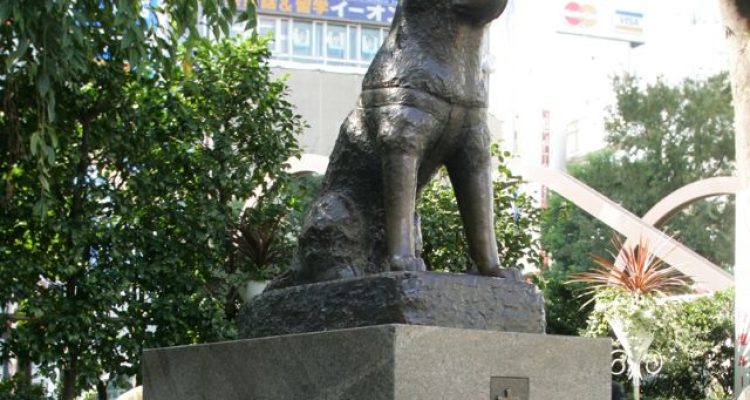 Netizens Furious after Tourists cut in line to take photos at Hachiko Statue