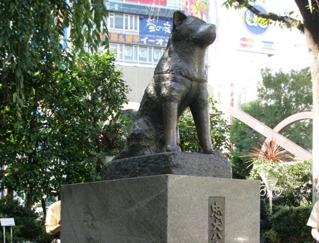 Netizens Furious after Tourists cut in line to take photos at Hachiko Statue
