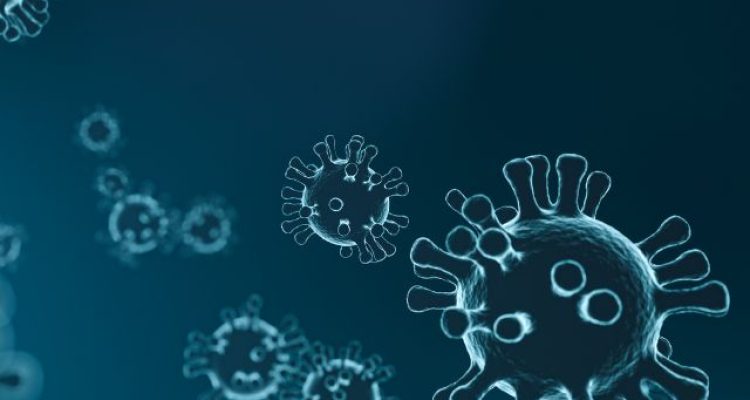 End of the World City Denies Connection to Hantavirus Outbreak