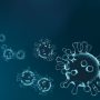 End of the World City Denies Connection to Hantavirus Outbreak