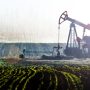 5 Countries Facing the Resource Curse