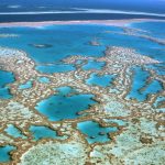 Great Barrier Reef Faces a Climate Crisis
