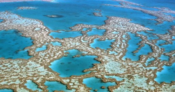 Great Barrier Reef Faces a Climate Crisis