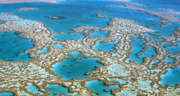 Great Barrier Reef Faces a Climate Crisis