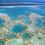 Great Barrier Reef Faces a Climate Crisis
