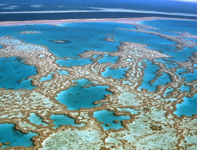 Great Barrier Reef Faces a Climate Crisis