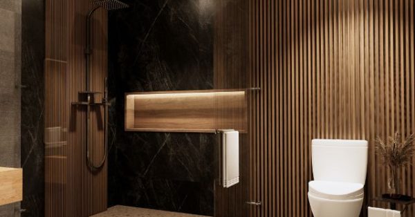 Japan Spends Billions on a Luxury Toilet to Attract Tourists