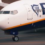 Ryanair Flight Delayed After Giant Griffon Vulture Lands on the Plane