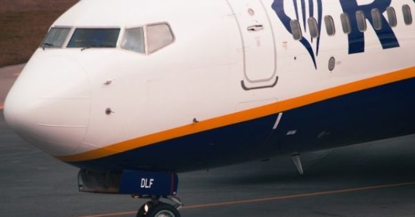 Ryanair Flight Delayed After Giant Griffon Vulture Lands on the Plane