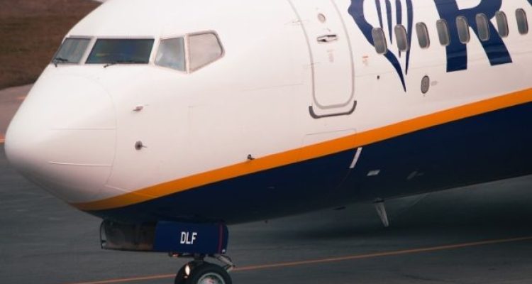 Ryanair Flight Delayed After Giant Griffon Vulture Lands on the Plane