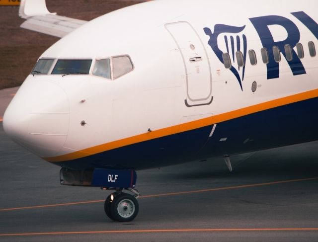 Ryanair Flight Delayed After Giant Griffon Vulture Lands on the Plane