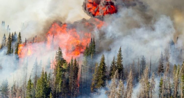 Turkey Wildfires Force Villages to Evacuate
