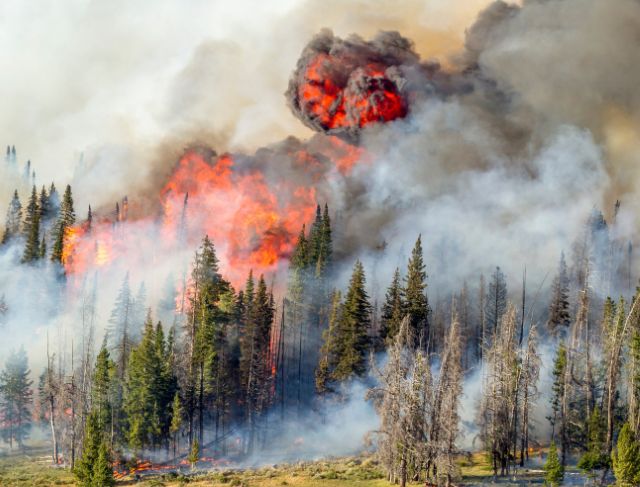 Turkey Wildfires Force Villages to Evacuate