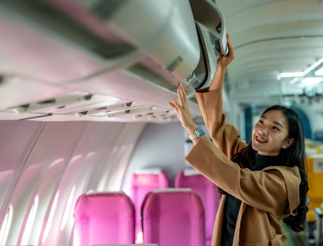 Tourist Faces Online Backlash After Asking for Help With Her Suitcase on a Plane