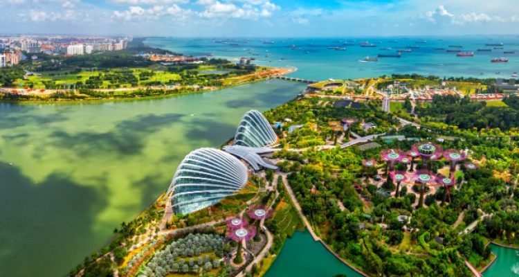 Chinese Tourist Robbed During First Overseas Trip to Singapore’s Gardens by the Bay
