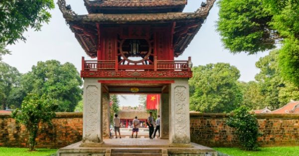 Hanoi Plans to Prune 1,000 Hoa Sua Trees Over Complaints About Strong Floral Scent