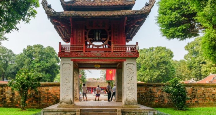 Hanoi Plans to Prune 1,000 Hoa Sua Trees Over Complaints About Strong Floral Scent